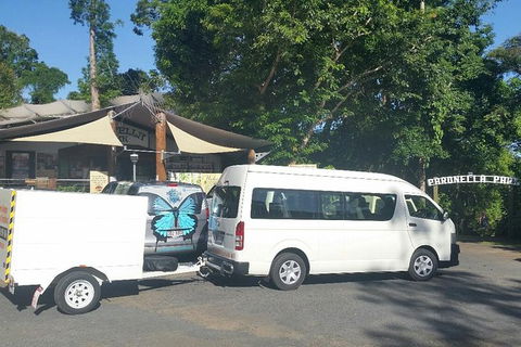 Airport Transfer To Or From Cairns Hotels For Up To 13 People (7am-10pm) - Australia Accommodation 3