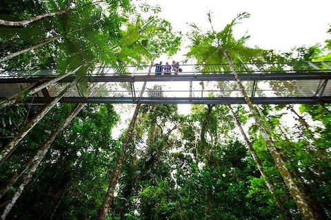 Daintree Discovery Centre Family Pass Ticket - Australia Accommodation 3