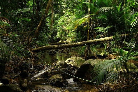 Daintree Discovery Centre Family Pass Ticket - Australia Accommodation 5