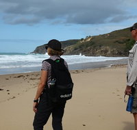 Tropical Beach Adventure - Private 4X4 Day Tour with Pickup - Australia Accommodation