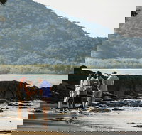 Sightseeing Tour - Full Day - Australia Accommodation