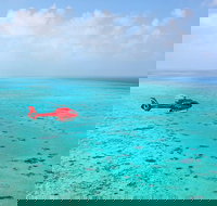 Port Douglas - Cruise and 10 Minute Scenic Flight - Australia Accommodation