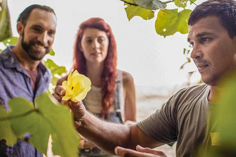 Cultural Tour - Full Day - Australia Accommodation 3