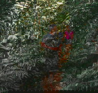 Cultural Tour - Full Day - Australia Accommodation