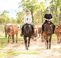 Ride the Outback at Ironbark House Dimbulah Horse Riding - Australia Accommodation