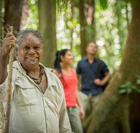 Mossman Gorge Dreamtime Tour - Australia Accommodation