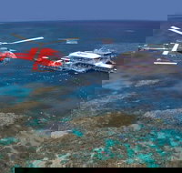 Helicopter and Cruise Packages From Port Douglas - Australia Accommodation