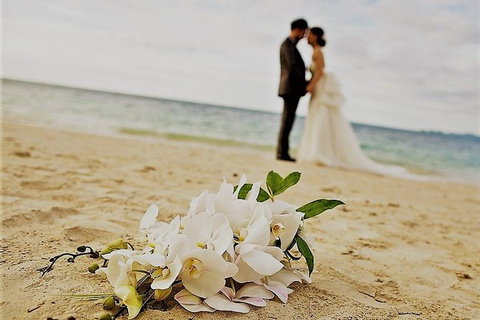 Airport Transfer - Port Douglas To Cairns Airport - Australia Accommodation 1