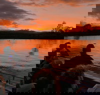 Daintree River Sunset Cruise - Australia Accommodation