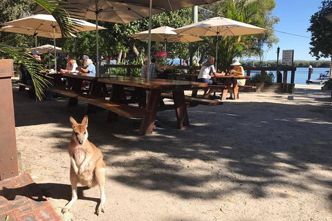 South Stradbroke Island Safari Tour By Jet Ski - Australia Accommodation 5