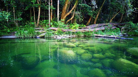Cairns Adventure Package- 4 Tours In 3 Days! - Australia Accommodation 6