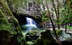 Natural Bridge, Springbrook & Gold Coast Tour - thumb 6