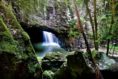 Natural Bridge, Springbrook & Gold Coast Tour - Australia Accommodation 6
