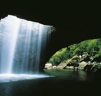Natural Bridge Springbrook  Gold Coast Tour - Australia Accommodation