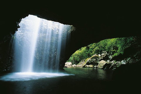 Natural Bridge, Springbrook & Gold Coast Tour - Australia Accommodation 0