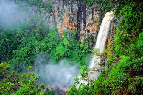 Natural Bridge, Springbrook & Gold Coast Tour - Australia Accommodation 5