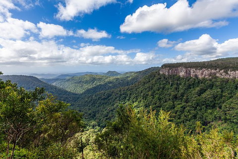 Natural Bridge, Springbrook & Gold Coast Tour - Australia Accommodation 1