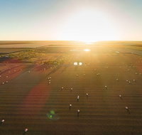 Discover Farming in Goondiwindi - Australia Accommodation