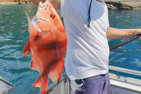 Adventure Fishing Combo Day - Fish, Swim, Whitehaven, Hill Inlet Bush Walking - Australia Accommodation 2
