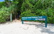 Adventure Fishing Combo Day - Fish, Swim, Whitehaven, Hill Inlet Bush Walking - thumb 8