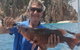 Adventure Fishing Combo Day - Fish, Swim, Whitehaven, Hill Inlet Bush Walking - thumb 10