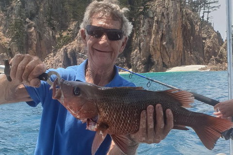 Adventure Fishing Combo Day - Fish, Swim, Whitehaven, Hill Inlet Bush Walking - Australia Accommodation 10