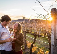 Stanthorpe Winery Experience - Australia Accommodation