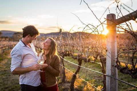 Stanthorpe Winery Experience - Australia Accommodation 0