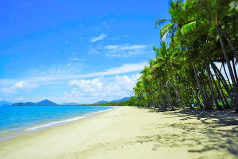 Airport Transfer - Palm Cove, Kewarra Beach & Trinity Beach To Cairns Airport - Australia Accommodation 2