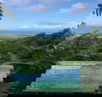 Daintree Luxury Limousine Tour - Full Day - Australia Accommodation