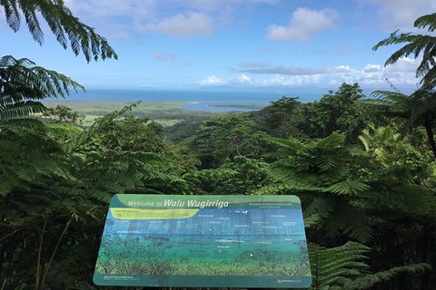 Daintree Luxury Limousine Tour - Full Day - Australia Accommodation 0