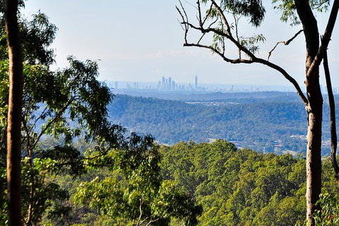 Tamborine Mountain & Gold Coast Tour - Australia Accommodation 3