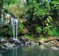Tamborine Mountain  Gold Coast Tour - Australia Accommodation
