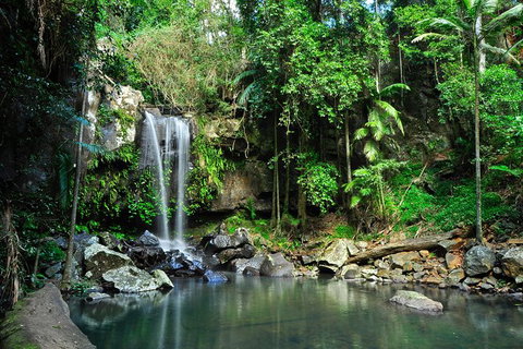 Tamborine Mountain & Gold Coast Tour - Australia Accommodation 0