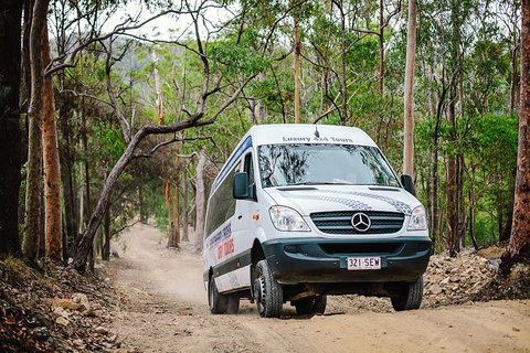 Tamborine Mountain & Gold Coast Tour - Australia Accommodation 4