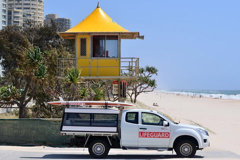 Tamborine Mountain & Gold Coast Tour - Australia Accommodation 2