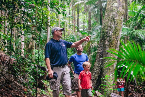 Tamborine Mountain & Gold Coast Tour - Australia Accommodation 1
