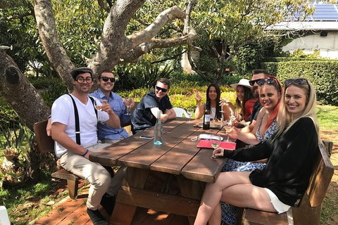 Private Full Day Wine Tour From The Gold Coast To Tamborine Mountain - Australia Accommodation 0