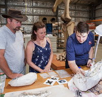 Australian Dinosaur Giants Tour - Australia Accommodation