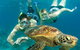 Cairns Pullman Cairns International 5 Nights Package Combo - thumb 4