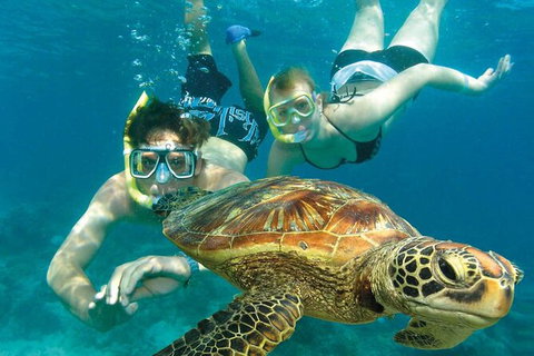 Cairns Pullman Cairns International 5 Nights Package Combo - Australia Accommodation 4