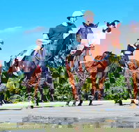 Mid-Morning Beach Horse Ride in Cape Tribulation with Pick Up - Australia Accommodation