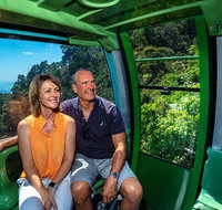 Sightseeing Kuranda Self-Driving Tour - Australia Accommodation