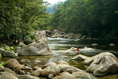 Port Douglas Daintree National Park Boutique Full-Day Tour - Australia Accommodation 2