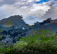 Port Douglas Daintree National Park Boutique Full-Day Tour - Australia Accommodation