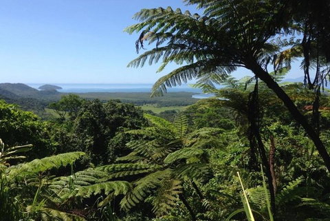 Port Douglas Daintree National Park Boutique Full-Day Tour - Australia Accommodation 1