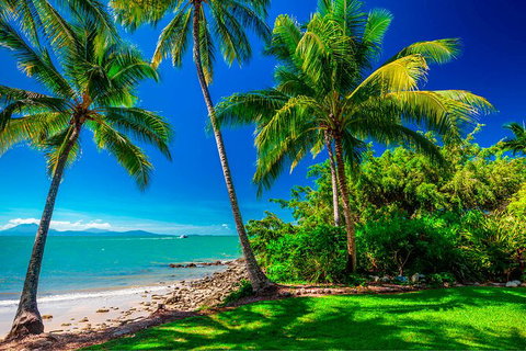 SHUTTLE - Port Douglas And Craiglie Return Transfer - Australia Accommodation 2