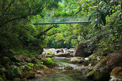 SHUTTLE - Mossman Gorge & Cooya Beach From Port Douglas (Return Transfer) - Australia Accommodation 4