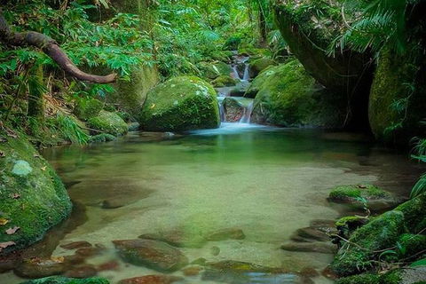 SHUTTLE - Mossman Gorge & Cooya Beach From Port Douglas (Return Transfer) - Australia Accommodation 2