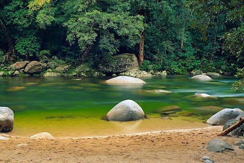 SHUTTLE - Mossman Gorge & Cooya Beach From Port Douglas (Return Transfer) - Australia Accommodation 1